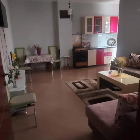 Ambjent Modern Prane Pogradecit 1 *