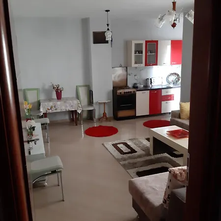 Ambjent Modern Prane Pogradecit 1 Pogradec